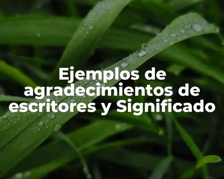 Ejemplos de agradecimientos de escritores y Significado