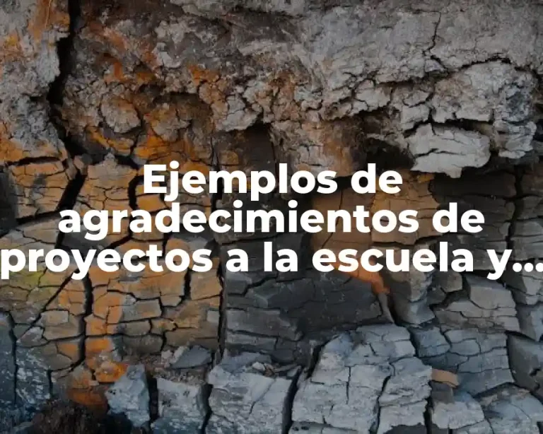 Ejemplos de agradecimientos de proyectos a la escuela y Significado