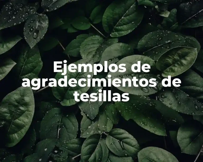 Ejemplos de agradecimientos de tesillas