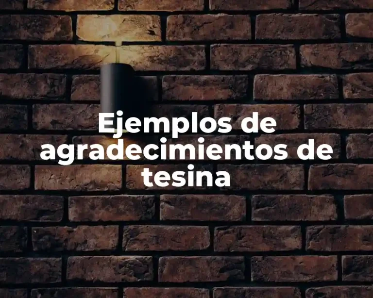 Ejemplos de agradecimientos de tesina
