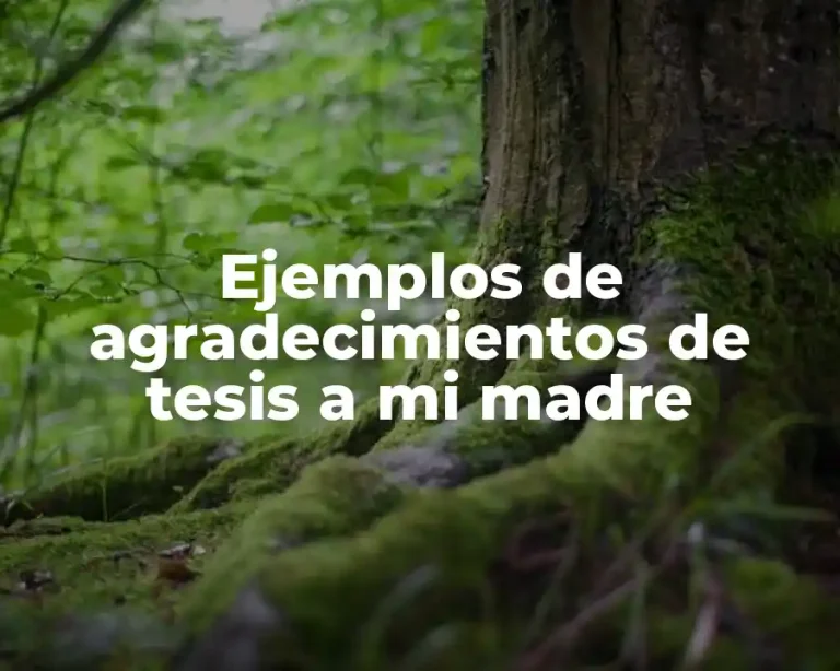 Ejemplos de agradecimientos de tesis a mi madre