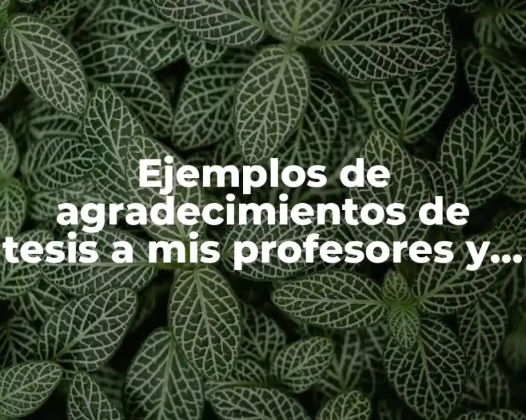 Ejemplos de agradecimientos de tesis a mis profesores y Significado