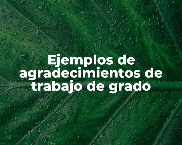 Ejemplos de agradecimientos de trabajo de grado