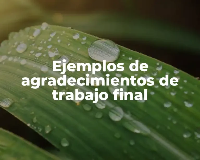 Ejemplos de agradecimientos de trabajo final