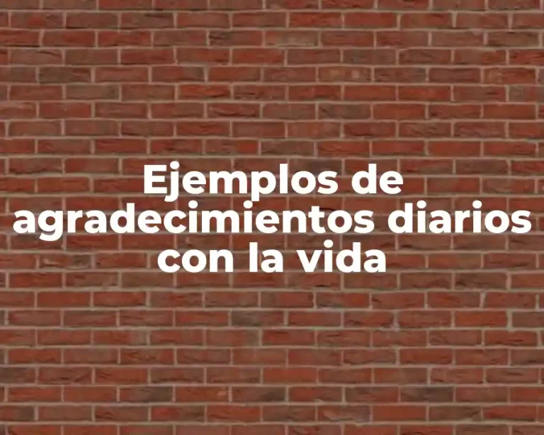 Ejemplos de agradecimientos diarios con la vida