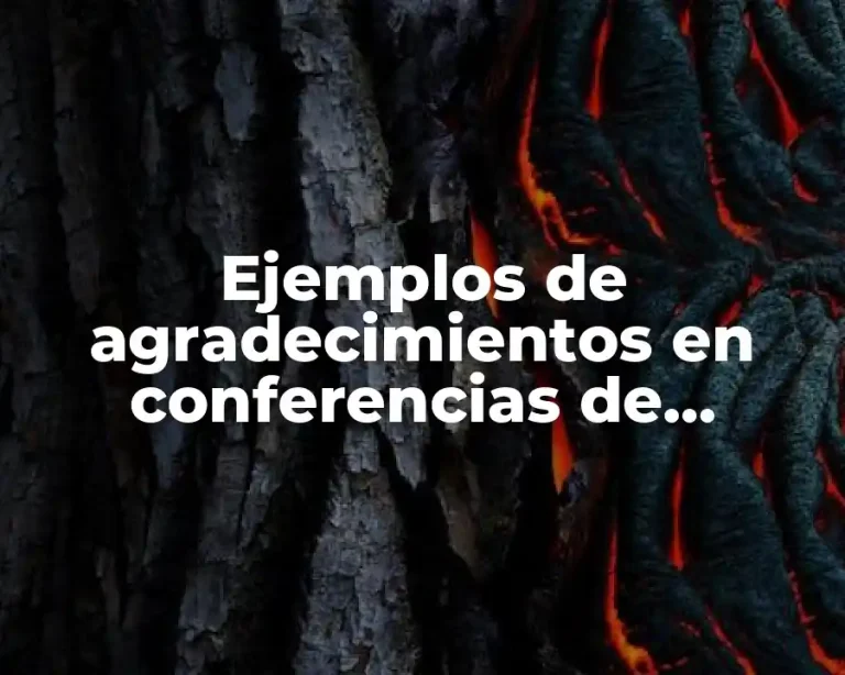 Ejemplos de agradecimientos en conferencias de universidades