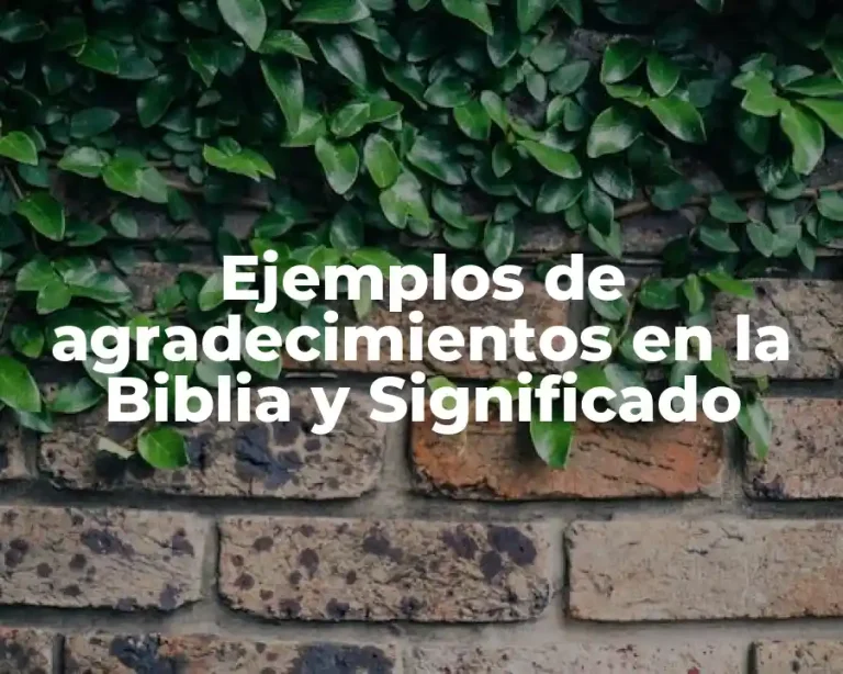 Ejemplos de agradecimientos en la Biblia y Significado