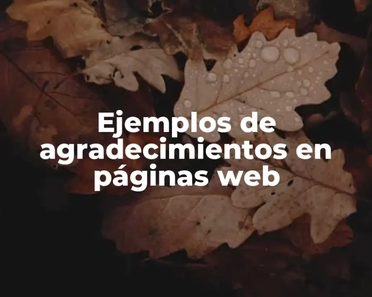 Ejemplos de agradecimientos en páginas web