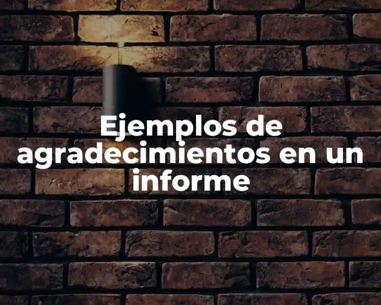 Ejemplos de agradecimientos en un informe