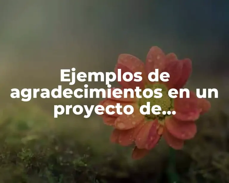 Ejemplos de agradecimientos en un proyecto de investigación