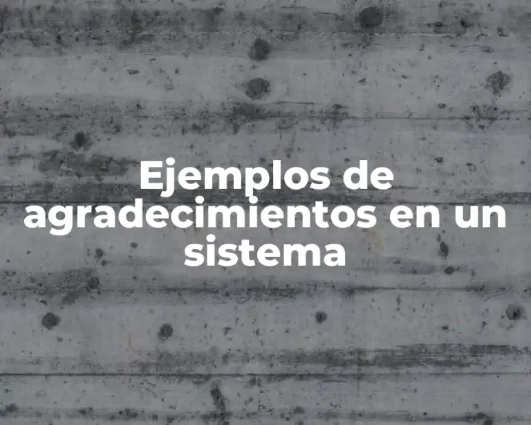 Ejemplos de agradecimientos en un sistema