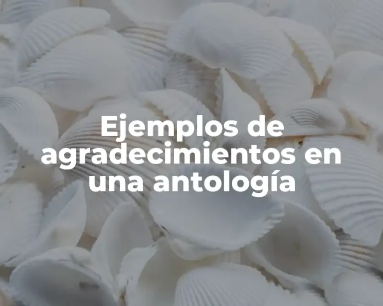 Ejemplos de agradecimientos en una antología