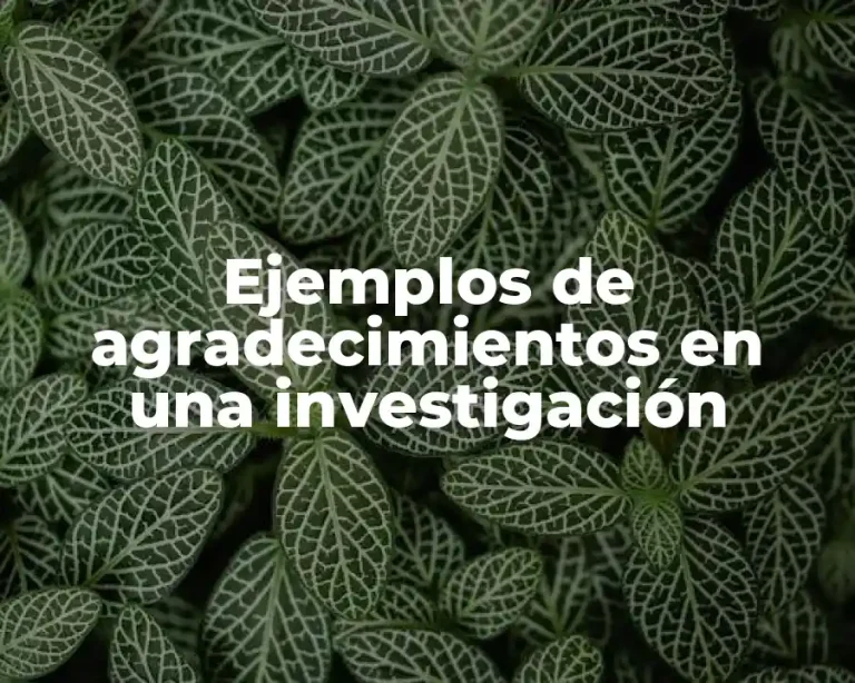 Ejemplos de agradecimientos en una investigación