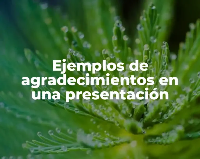 Ejemplos de agradecimientos en una presentación