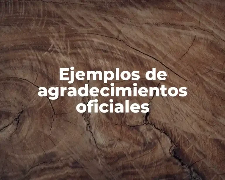 Ejemplos de agradecimientos oficiales
