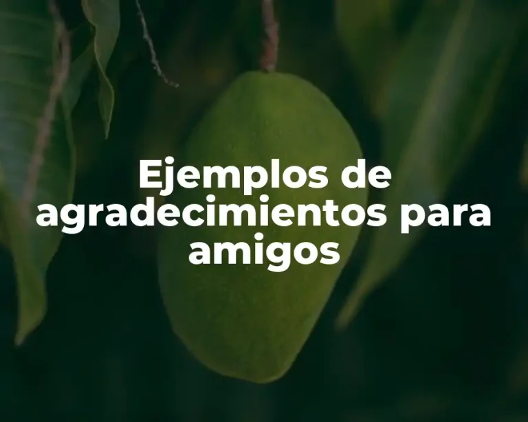Ejemplos de agradecimientos para amigos