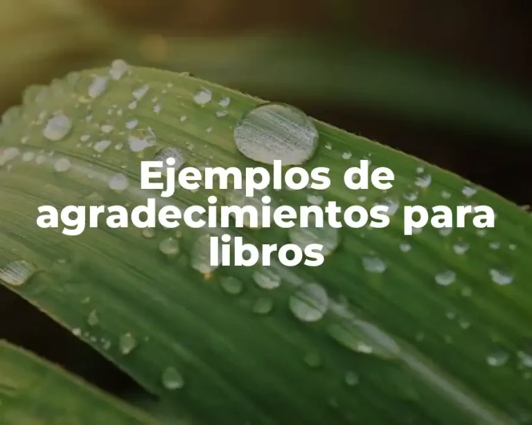 Ejemplos de agradecimientos para libros