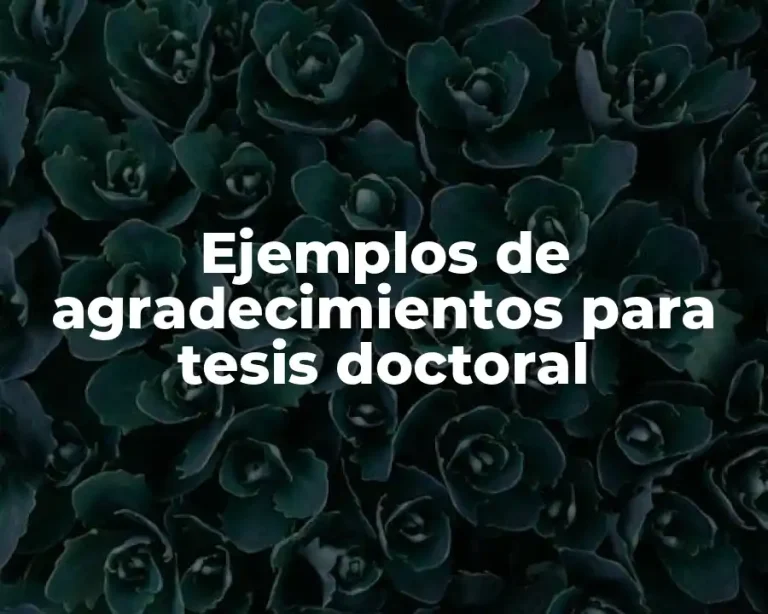 Ejemplos de agradecimientos para tesis doctoral