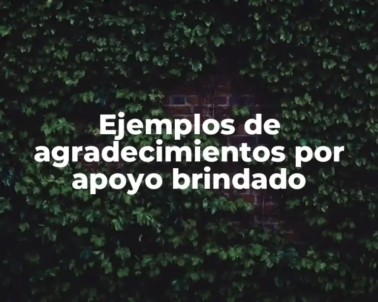 Ejemplos de agradecimientos por apoyo brindado