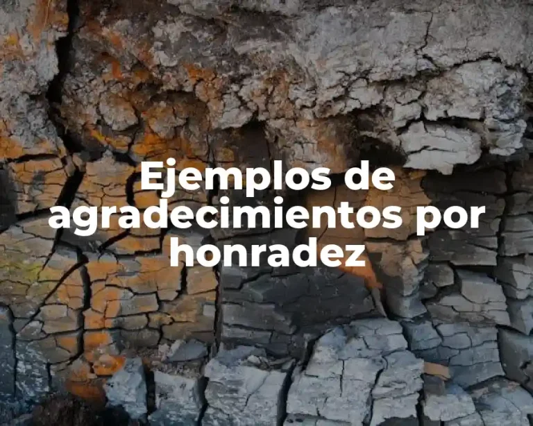 Ejemplos de agradecimientos por honradez