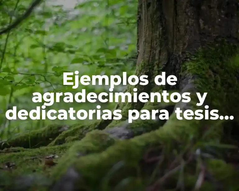 Ejemplos de agradecimientos y dedicatorias para tesis y Significado