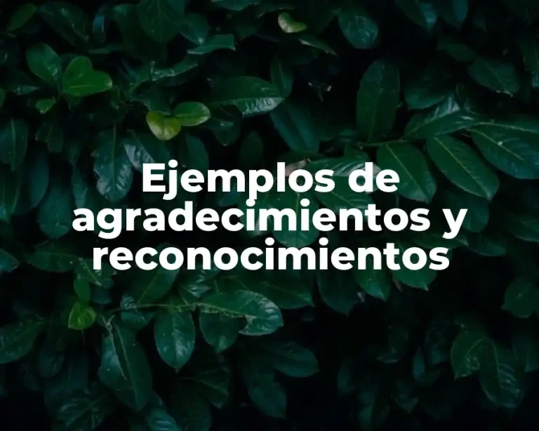 Ejemplos de agradecimientos y reconocimientos