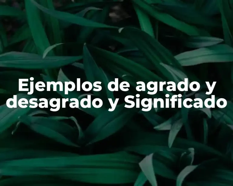 Ejemplos de agrado y desagrado y Significado