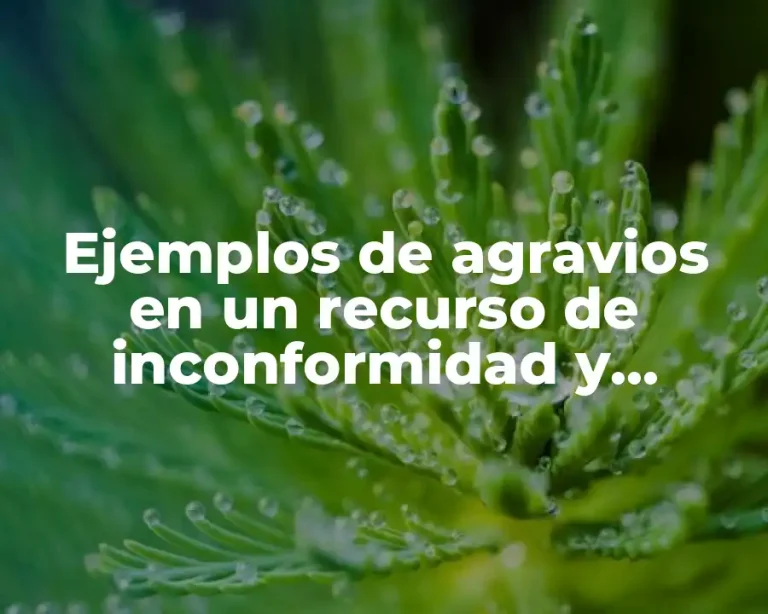 Ejemplos de agravios en un recurso de inconformidad y Significado