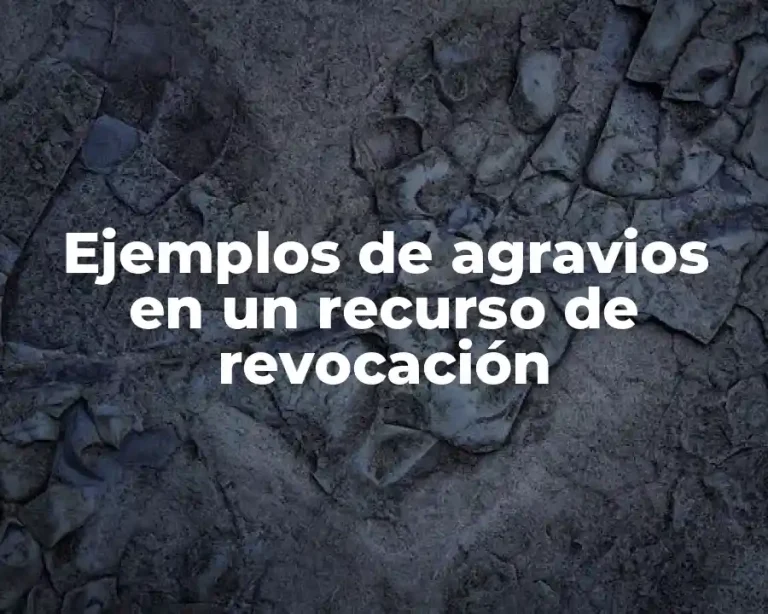 Ejemplos de agravios en un recurso de revocación