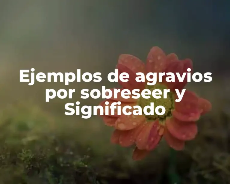Ejemplos de agravios por sobreseer y Significado