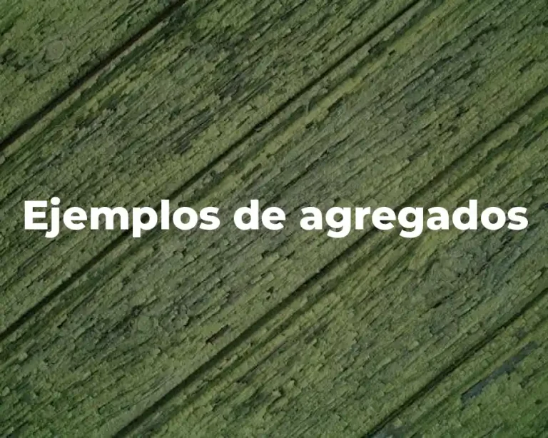 Ejemplos de agregados