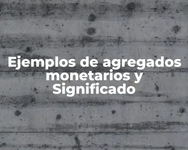 Ejemplos de agregados monetarios y Significado