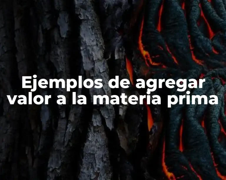 Ejemplos de agregar valor a la materia prima