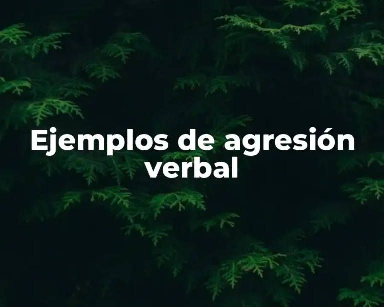 Ejemplos de agresión verbal