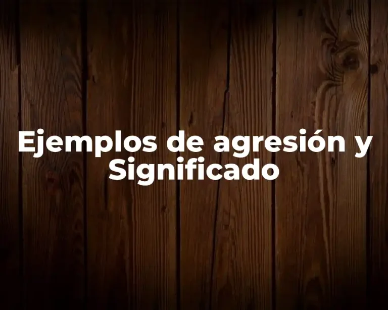 Ejemplos de agresión y Significado
