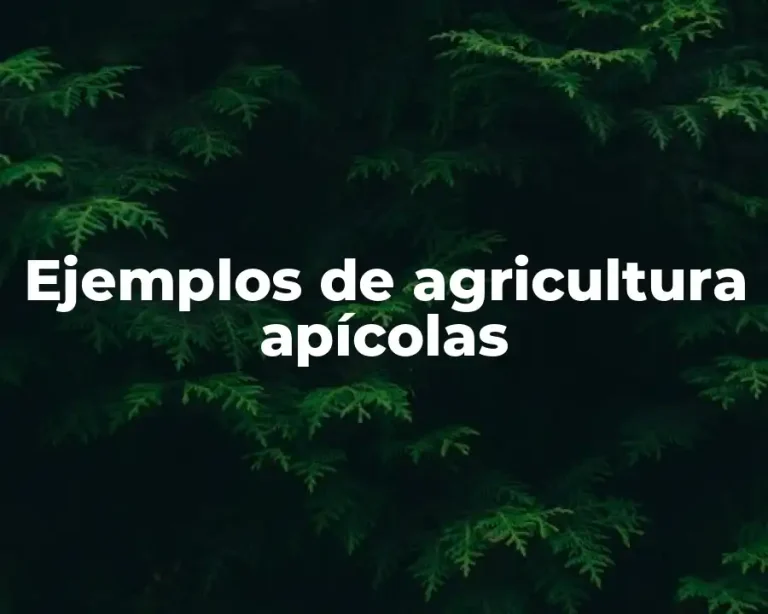 Ejemplos de agricultura apícolas