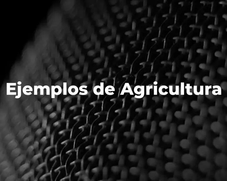 Ejemplos de Agricultura