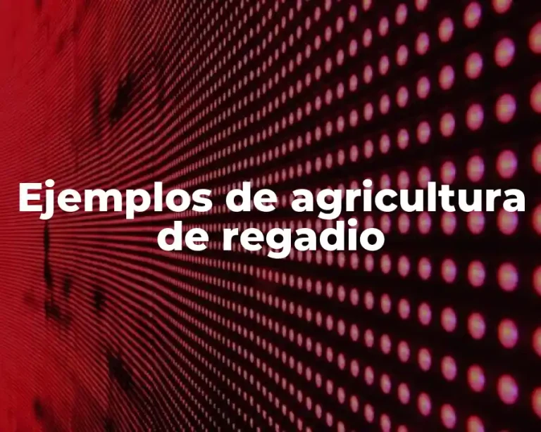 Ejemplos de agricultura de regadio