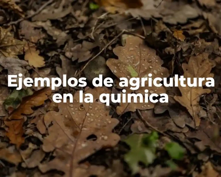 Ejemplos de agricultura en la quimica