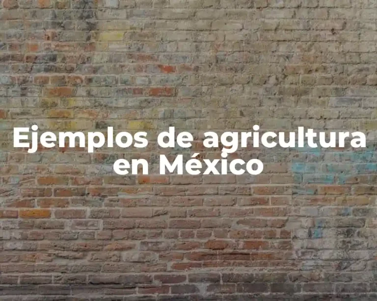 Ejemplos de agricultura en México