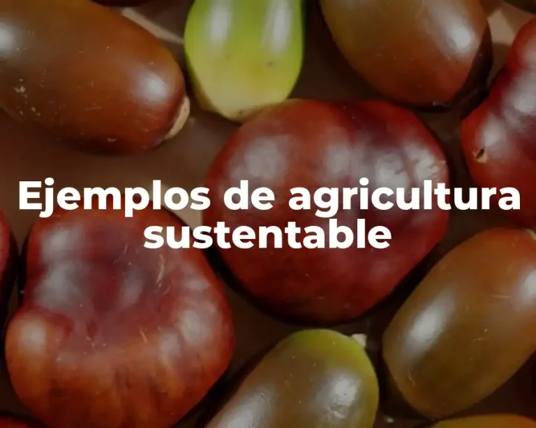 Ejemplos de agricultura sustentable