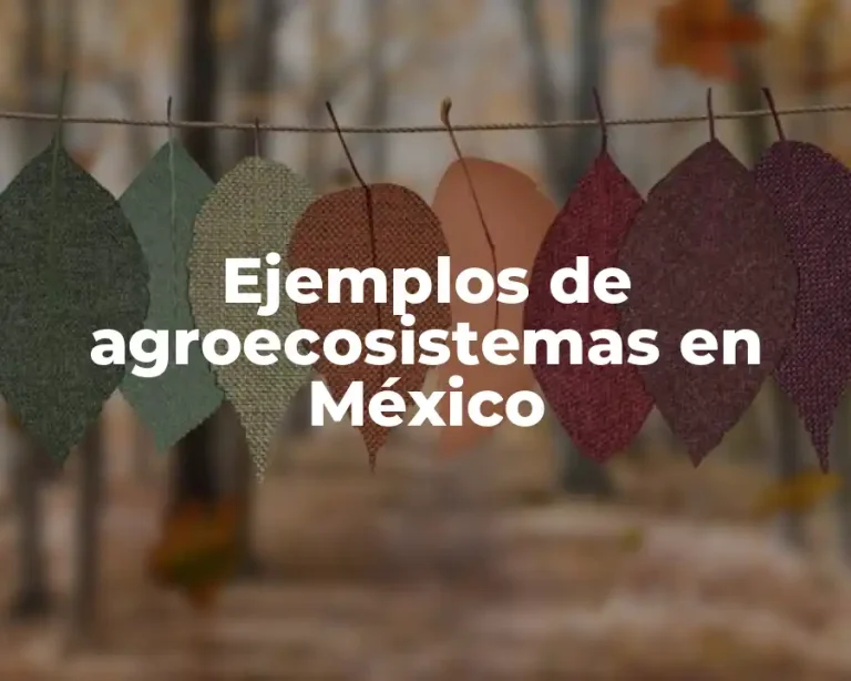 Ejemplos de agroecosistemas en México