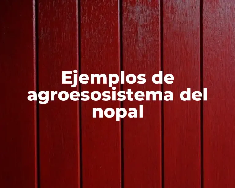 Ejemplos de agroesosistema del nopal