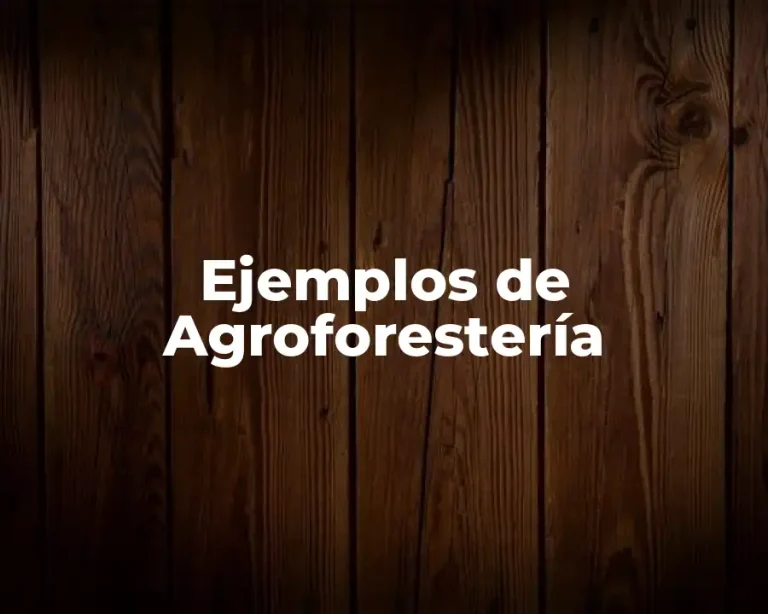 Ejemplos de Agroforestería