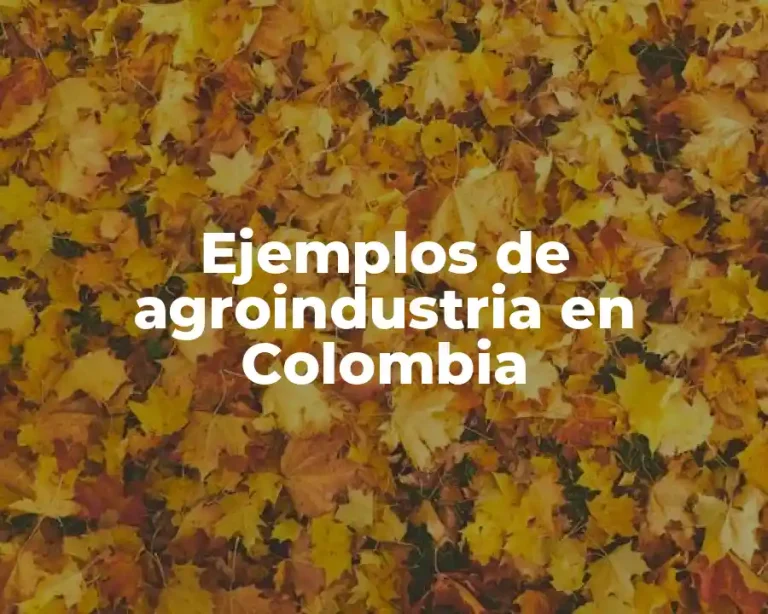Ejemplos de agroindustria en Colombia