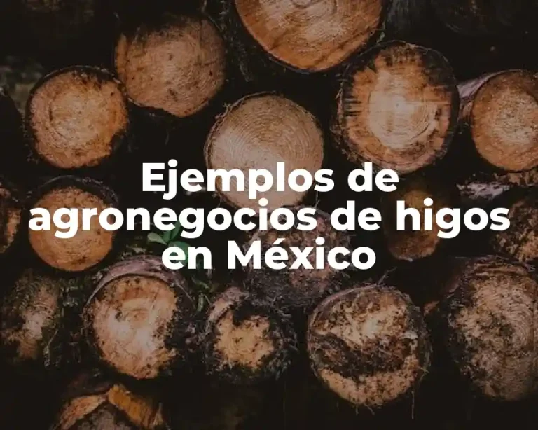 Ejemplos de agronegocios de higos en México