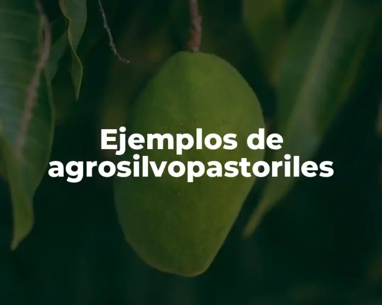 Ejemplos de agrosilvopastoriles