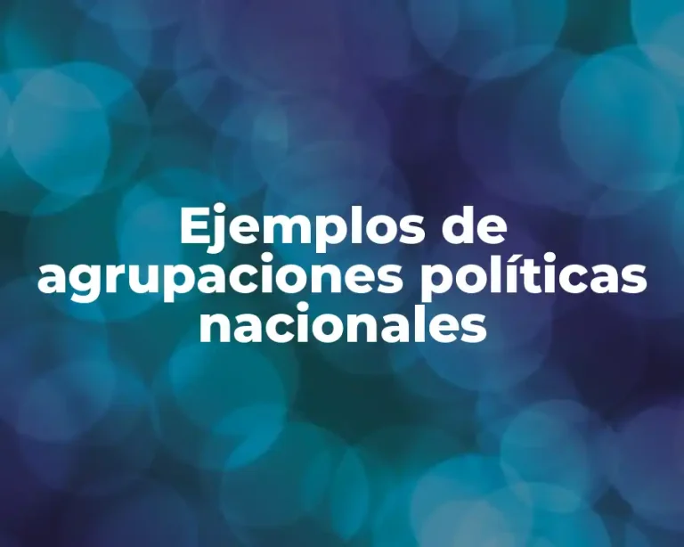 Ejemplos de agrupaciones políticas nacionales