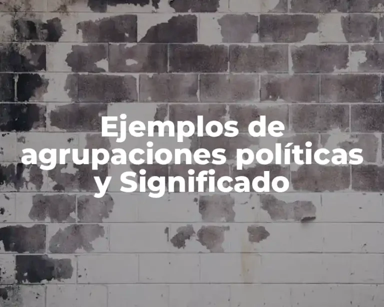 Ejemplos de agrupaciones políticas y Significado
