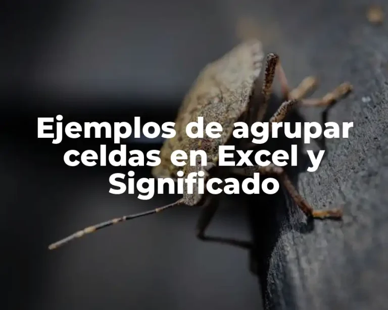 Ejemplos de agrupar celdas en Excel y Significado